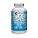 Syntech ZMV6